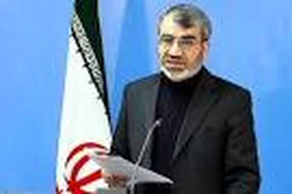 واکنش کدخدایی به فعالیت‌های زودهنگام انتخاباتی