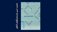 عجیب ترین کارنامه داوطلبان کنکور !
