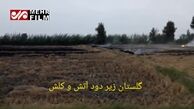 آتش در شالیزارهای گلستان