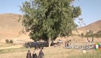 درخت گردوی ۳۷۰ ساله الیگودرز را ببینید