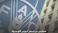 مردم ایران چقدر گوشت مصرف می‌کنند ؟