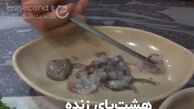 غذای لذیذ ایرانی در میان چندش‌آور‌ترین غذاهای دنیا !