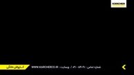 به آتش کشیدن درخت چند صد ساله جنگلی 