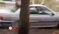 سقوط وحشتناک درخت روی خودرو