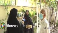  پرورش انگور در زمین و آسمان یک حیاط !