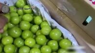 گوجه سبز نوبر دانه ای 200 هزار تومان !